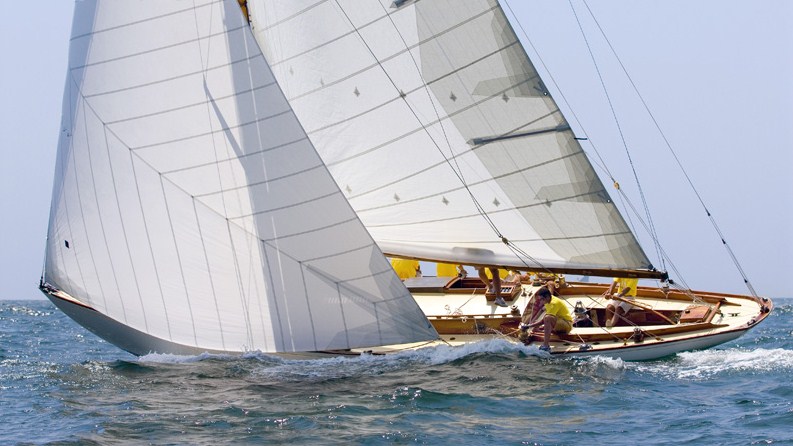 [Immagine: 201039172019_sirius in regata.jpg]